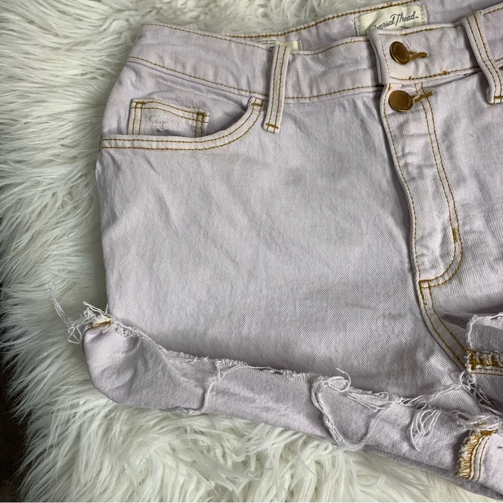 Universal Thread Denim Shorts